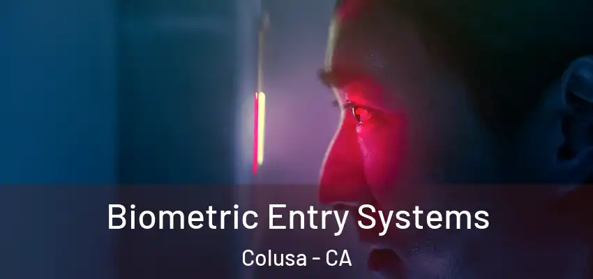  Biometric Entry Systems Colusa - CA