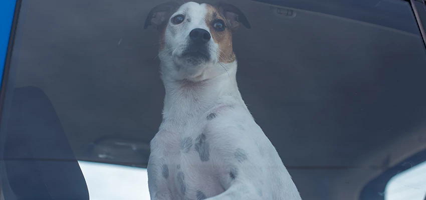 Car Lockout Solutions in Colusa, California