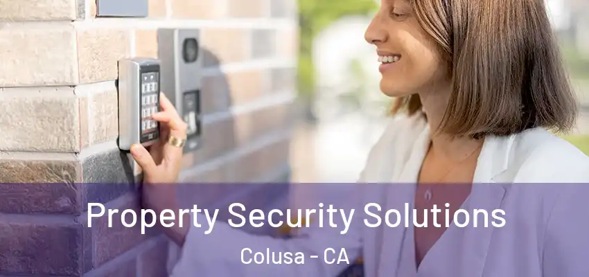  Property Security Solutions Colusa - CA